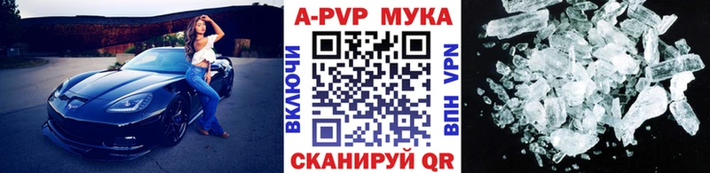 A PVP СК КРИС  Мыски 