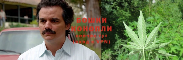 PSILOCYBIN Алзамай