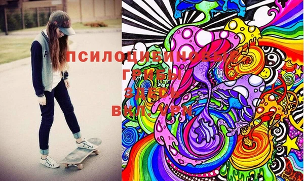 PSILOCYBIN Алзамай