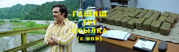 PSILOCYBIN Алзамай