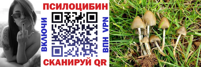 Галлюциногенные грибы Magic Shrooms Мыски